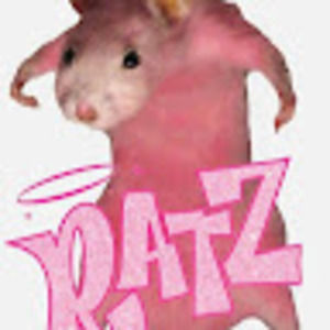 Meet your Posher, Roki